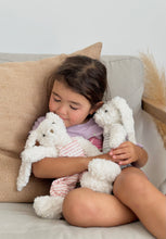 Load image into Gallery viewer, Personalised Bunny Plush //blue bunny //