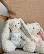 Load image into Gallery viewer, Personalised Bunny Plush //blue bunny //
