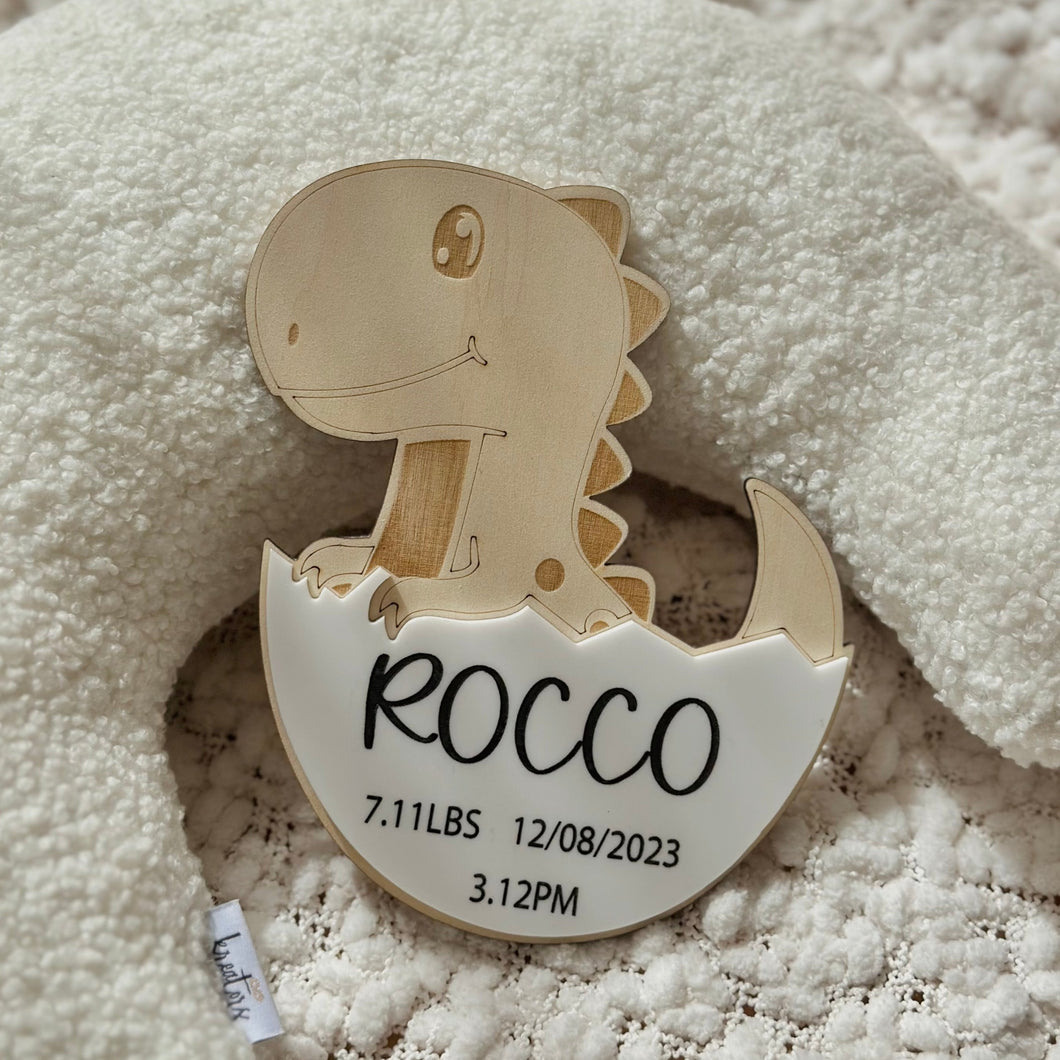 Dinosaur announcemenf Disc // Personalised